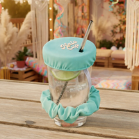 Chouchou protège verre anti-intrusion